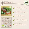 Samenliebe  Tomate Samen | Black Krim - grün & intensiv Produktbild-Vorschau 3