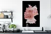 MuchoWow® Poster Karte - Deutschland - Alte Rose 80x120 cm Produktbild-Vorschau 3