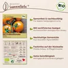 Samenliebe  Tomate Samen | Auriga - orange & süßlich - Produktbild-Vorschau 3