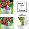 Scheurich Wasserspender Bördy XL | 3er Set Produktbild-Vorschau 1