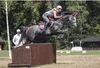 A woman riding a horse jumps over a wooden obstacle in an outdoor arena. Anteprima dell’immagine prodotto