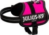 Julius-K9® Powergeschirr® Baby 1-Mini 33-45 cm/18 mm Voir les images du produit 1