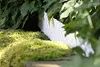GARDENIX 3,2 m Bordo per aiuola in rattan Bordo per aiuola Anteprima dell’immagine prodotto 4