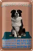 Blechschild Spruch 18x12cm Border Collie Hund protective Produktbild-Vorschau 1