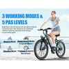 GT300 26 Zoll Elektro-Mountainbike – 250W, 36V 10Ah Produktbild-Vorschau 10