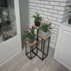 Three potted plants are displayed on tiered metal and wood plant stands against a white brick wall, next to a glass-fronted cabinet. Produktbild-Vorschau