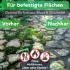 Unkrautbürste für Freischneider & Motorsense, inkl. 32 PA66 Produktbild-Vorschau 2
