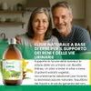 Biostile Kidney – Succo a base di erbe con verga d'oro, Anteprima dell’immagine prodotto 2
