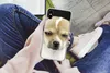 MuchoWow® Handyhülle Schutzhülle Hülle für iPhone Xs Produktbild-Vorschau 3