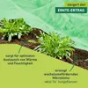 Gartenvlies für Frühbeete grün, 25x2m Produktbild-Vorschau 3