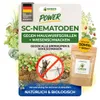 Power SC-Nematoden gegen Maulwurfsgrillen Wiesenschnaken & Produktbild-Vorschau 1