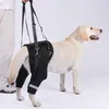 INF Imbracatura di Supporto Posteriore per Cani - Aiuto Anteprima dell’immagine prodotto 2