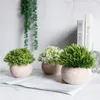 Künstliche Pflanzen im Topf 3er Set Wohnzimmer Deko modern Produktbild-Vorschau 5