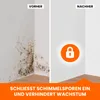 Tonis SCHIMMELSCHOCK 5.2 Anti-Schimmel-Farbe 4,5 Liter | Produktbild-Vorschau 5