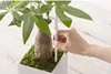 A hand is holding a white moisture meter next to a potted plant. Produktbild-Vorschau