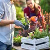Set da 10 etichette per piante Relaxdays, giardino e aiuola Anteprima dell’immagine prodotto 3