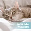 Felisept Hautpflegespray für Katzen 250ml - Milbenspray Produktbild-Vorschau 5