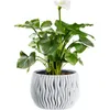 A white calla lily plant in a decorative white pot. Produktbild-Vorschau