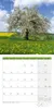 Bäume Kalender 2027 - 30x30 - Art12 Produktbild-Vorschau 10