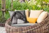 MuchoWow® Outdoor Kissen - Pferd - Halfter - Porträt - Produktbild-Vorschau 3