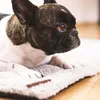FLUFFINO couverture pour chien taille S 73x45 cm moelleux Voir les images du produit 11