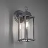 A wall-mounted outdoor lantern with a glass enclosure and a single light bulb inside, mounted on a gray wall. Voir les images du produit