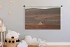 MuchoWow® Wandteppich Wandbehang Fuchs - Tiere - Wüste Produktbild-Vorschau 3