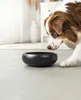 ciotola per cani lionto premium a doppia parete, in acciaio Anteprima dell’immagine prodotto 2