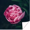 MuchoWow® Poster Blumen - Rosa - Rosen 100x100 cm - Produktbild-Vorschau 1