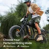 20 * 4" elektrobicykle Fat-Tire pre dospelých, E Bike s 48V Náhľad obrázku produktu 9