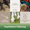 PANTO Pferdemineral mit Wisan-Lein® – 25 kg – Pellets mit Produktbild-Vorschau 4