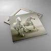 Bild auf Leinwand - Leinwandbild - Tiere araber pferd Produktbild-Vorschau 2