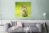 MuchoWow® Poster Nahaufnahme eines Hamsters vor einem Produktbild-Vorschau 5