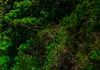 Akusticher Raumteiler Wasserfall Foto Paravent 225x172 cm Produktbild-Vorschau 7