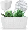 A white planter with a textured pattern, containing two succulent plants. A close-up of the planter's texture is shown in a circle at the top right, and a smaller planter is shown at the top left. Anteprima dell’immagine prodotto