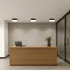 A reception desk with a laptop and a plant in an office setting. Podgląd zdjęcia produktu