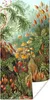 MuchoWow® Poster Natur - Gestaltung - Pilze - Ernst Haeckel Produktbild-Vorschau 1
