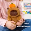 Capybara Kuscheltier 20 cm mit Orange – Niedliches Capybara Produktbild-Vorschau 5