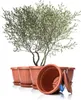 BigDean 6X Blumentopf mit Untersetzer rund ø50xH38 cm Produktbild-Vorschau 1