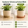 Podstawka pod doniczkę Mira terakota Ø 17cm - okrągła Podgląd zdjęcia produktu 6