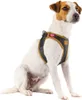 CURLI Pettorina per cani in pelle di mela nera XS, 3-5 kg Anteprima dell’immagine prodotto 5