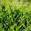 Rasensand Gartensand 25 kg Rasenpflege Quarzsand Grassand Produktbild-Vorschau 3
