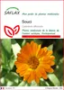 SAFLAX  - Souci - 50 graines - Calendula Voir les images du produit 1