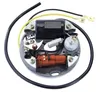 Lichtmaschine 6V 17W links-/rechtsdrehend für Puch Maxi N S Produktbild-Vorschau 1