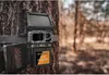 A trail camera with a solar panel attached to a tree in a forest. Voir les images du produit