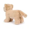 WWF - Peluche - Lionne (debout, 18cm) Limited Edition Voir les images du produit 3