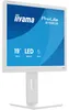 iiyama ProLite B1980S-W1, LED-Monitor, (SXGA, TN, HDMI, DP Produktbild-Vorschau 1