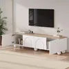 A modern TV stand with open doors, displaying books and decorative items, in a well-lit room. Anteprima dell’immagine prodotto