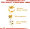 Diagram showing benefits of cat food with icons and text in Polish. Náhled obrázku produktu