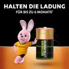 Duracell Akku Ricaricabile Mono - D 3000mAh 2St. Anteprima dell’immagine prodotto 12